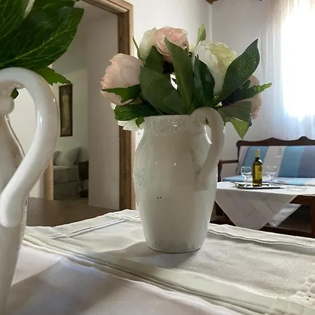 Apartment Mama'sevdokia *