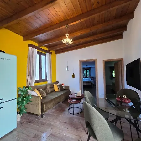 Appartement Mama'sevdokia *